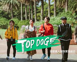 麻豆视频《TOP DOG》免费在线观看