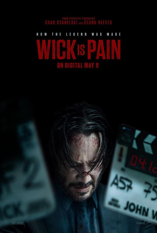 麻豆视频《疾速剧痛 Wick Is Pain》免费在线观看