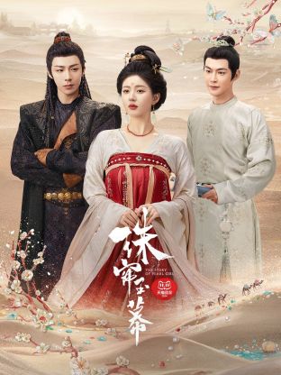 麻豆视传媒在线入口《珠帘玉幕》免费在线观看