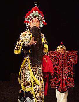 麻豆视频官网《袁崇焕2009》免费在线观看